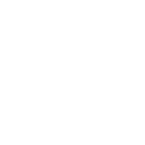 logo msi60